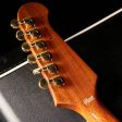 Gibson Custom Shop Firebird Custom Walnut Discount