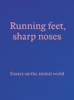 Visual Art Paper: Running Feet Sharp Noses [2023] paperback For Cheap