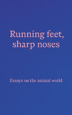 Visual Art Paper: Running Feet Sharp Noses [2023] paperback For Cheap