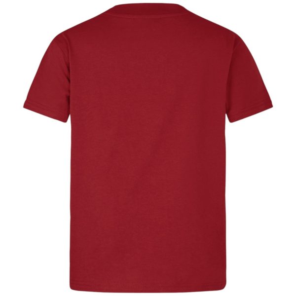 Canterbury BIL Little Lions Tee Inf Red Supply