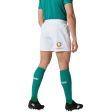 Canterbury IRFU Ireland Rugby 150TH Mens Home Match Short For Cheap