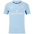 Castore Leinster 2024 25 Pro Play Mens Short Sleeve Training Tee For Sale