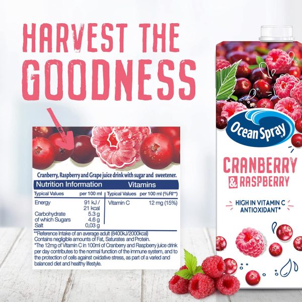 Ocean Spray Cranberry & Raspberry Juice Drink Pack of 12x1L Carton Online Sale